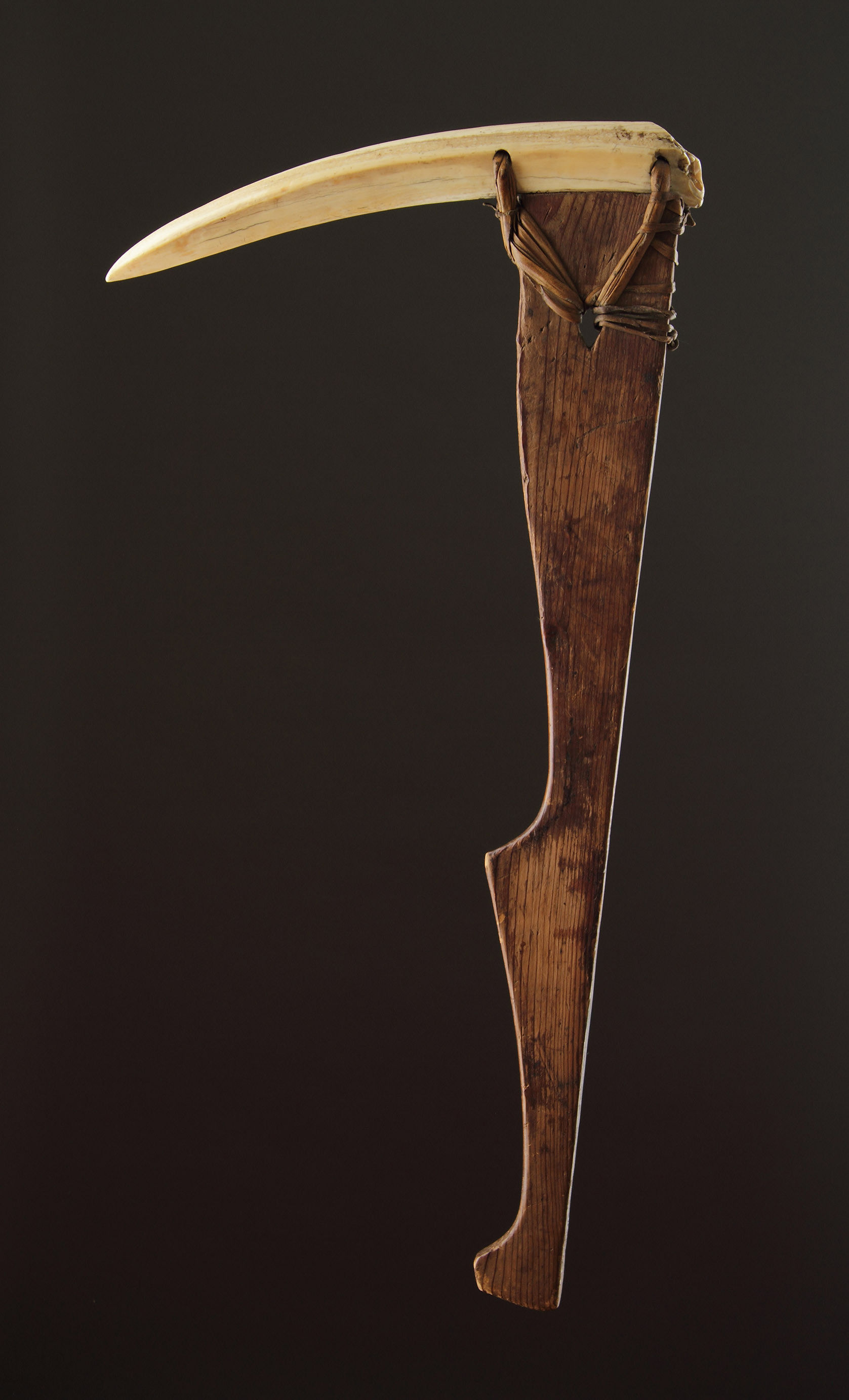 A Rare Inuit Sprucewood and Walrus Ivory Pickaxe
